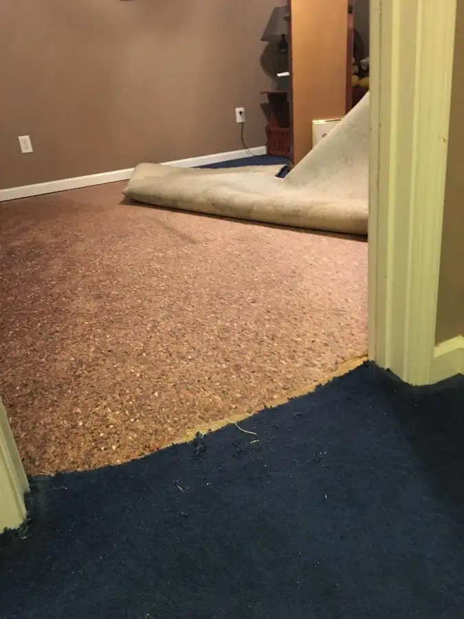 Carpet pad removal revealing water damage during Drying & Dehumidification in Millville