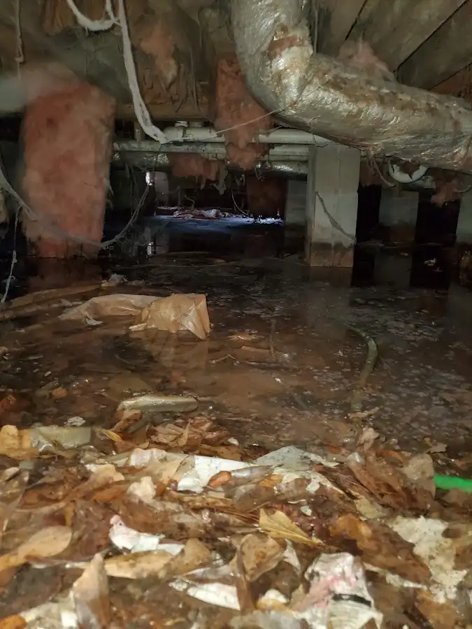 Crawl space flood assessment for Leak Detection & Repair in Millville