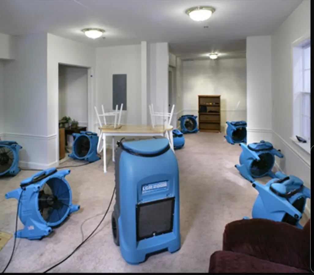 Air movers and dehumidifier setup for Water Extraction & Removal in Millville