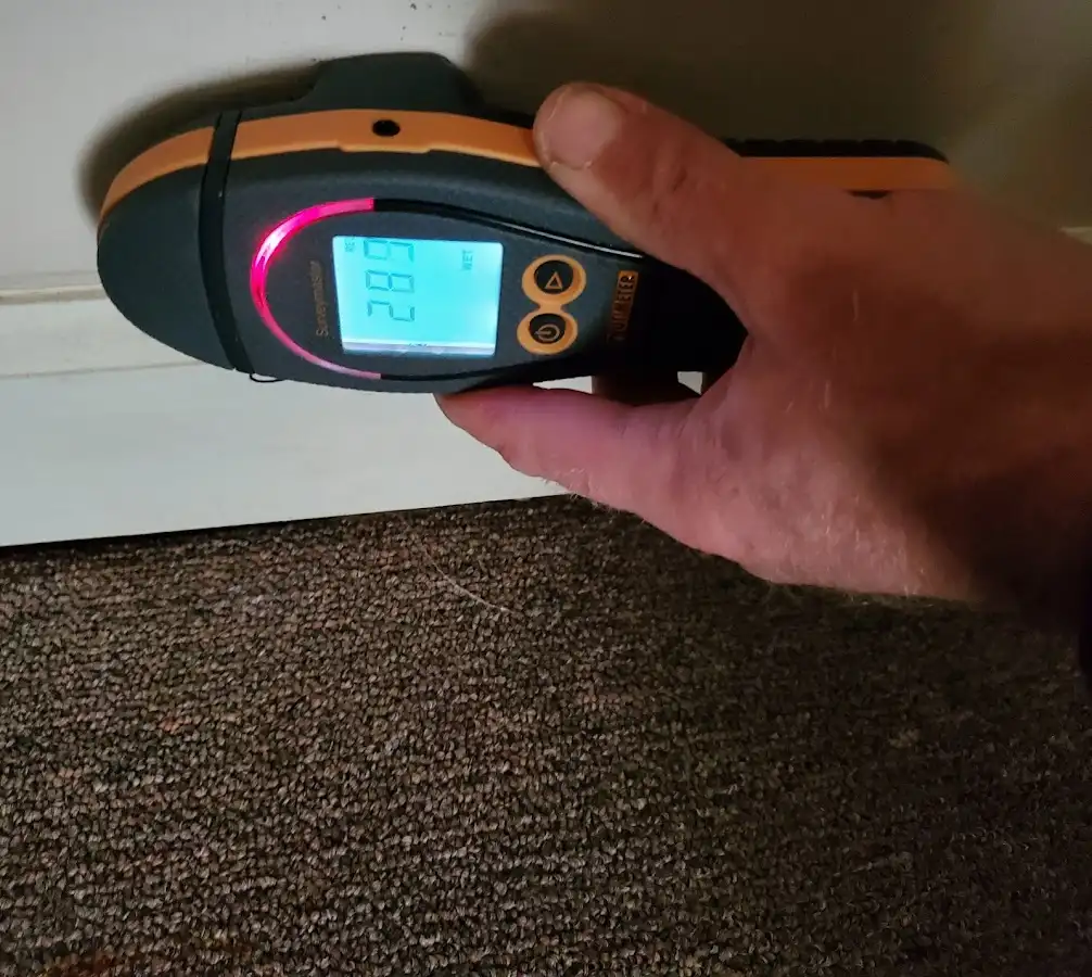 Moisture detection at baseboard during Sewage Cleanup & Sanitation in Millville